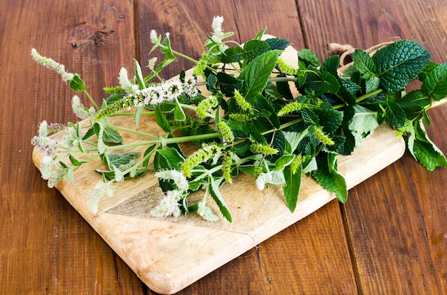 Menthe poivrée. Menthe herbe avec des fleurs se bouchent.