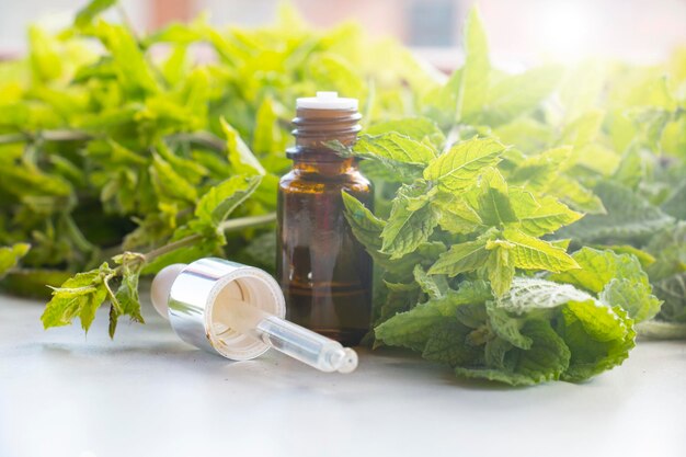 Menthe poivrée Menthe jardin Menthe buissonnante Menthol Homéopathie Teinture médicinale Pipette et flacon