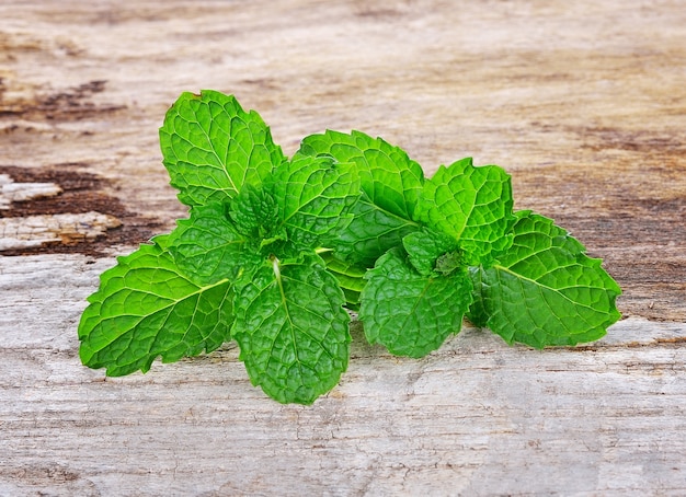 Menthe verte fraîche sur le vieux fond en bois