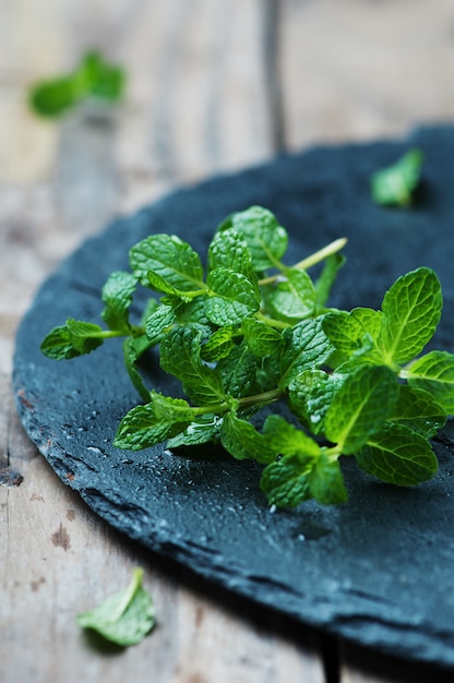 Photo menthe verte fraîche