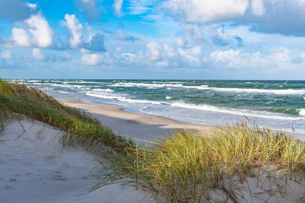 Mer agitée avec des vagues en automne ou en hiver plage de sable et dunes avec roseaux et herbe sèche le matin