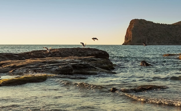 Mer au coucher du soleil Pierres dans la mer Paysage marin