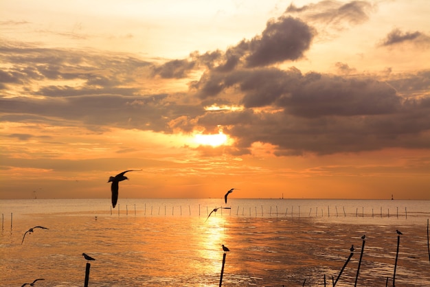 mer au crépuscule centre de loisirs de Bangpu, Thaïlande