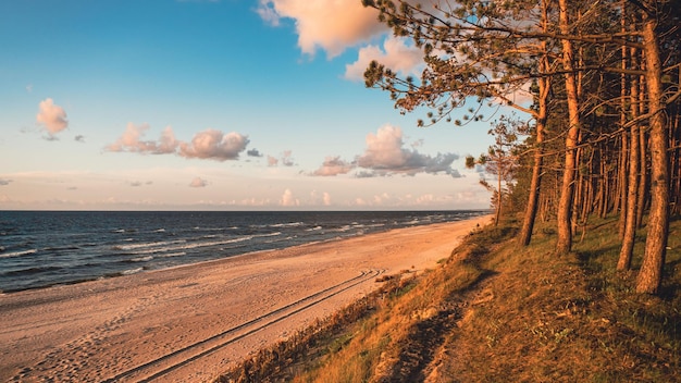 Mer Baltique avec une plage de sable au coucher du soleil avec un ciel bleu en arrière-plan