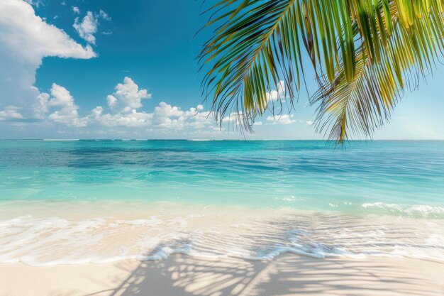 La mer bleue des feuilles de palmier et la plage de sable blanc tropical et le soleil