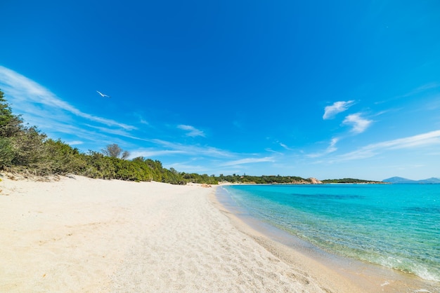 Mer bleue sur la plage de La Celvia