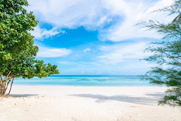 Mer et eau claire plage ont un été de vacances détente et voyage ciel brillant koh lipe thailande