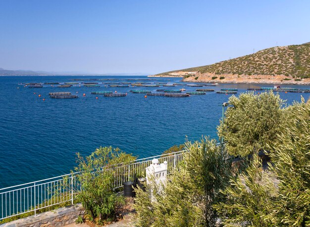 Mer Égée et une ferme piscicole sur l'île grecque d'Eubée en Grèce lors d'une journée ensoleillée