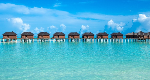 Mer des Maldives. île tropicale des Maldives avec plage. paysage de voyage