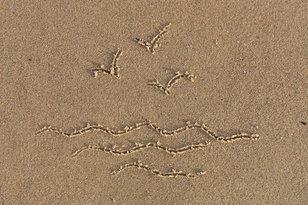 Mer avec des mouettes peintes sur le sable.