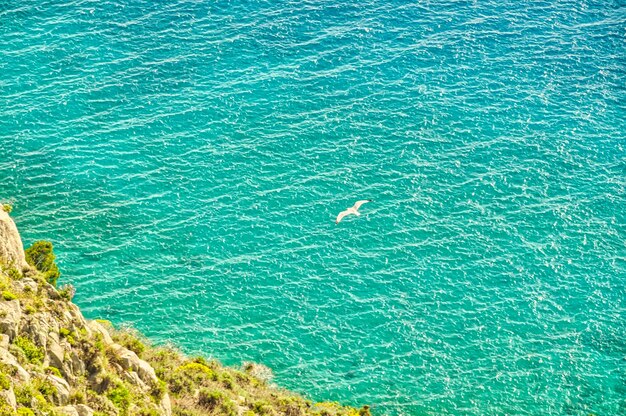 Mer et oiseau dans le ciel