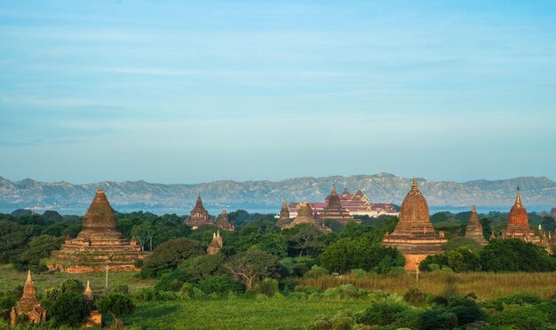 Mer des pagodes à Bagan