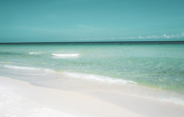 Mer et plage d'été de fond océan parfait