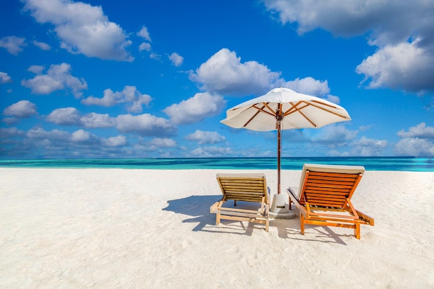 Mer, sable, ciel, beau, île tropicale, couple, chaises, transats, parapluie, palmier, plage, vacances
