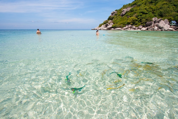 Mer Thaïlande