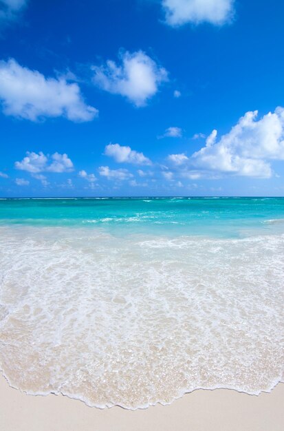 Mer tropicale et ciel bleu