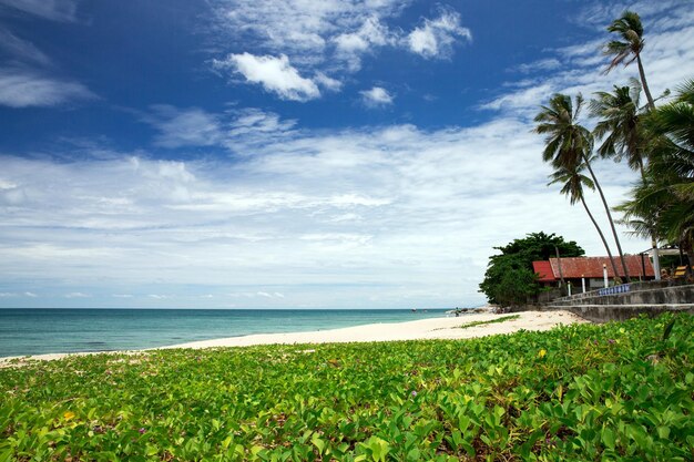 Mer tropicale et ciel bleu