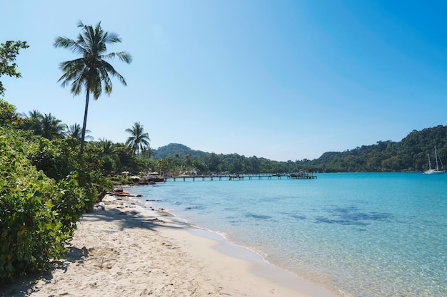 Mer tropicale avec jetée en bois et plage en été