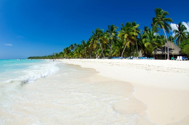 Mer tropicale sous le ciel bleu