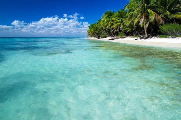 Mer tropicale sous le ciel bleu