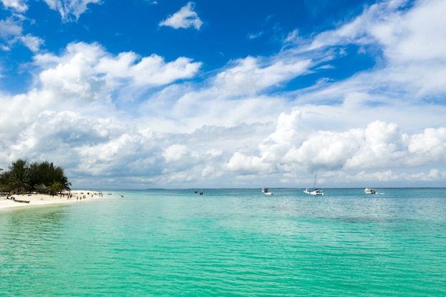 Mer tropicale. Vue imprenable sur les yeux des oiseaux à Zanzibar