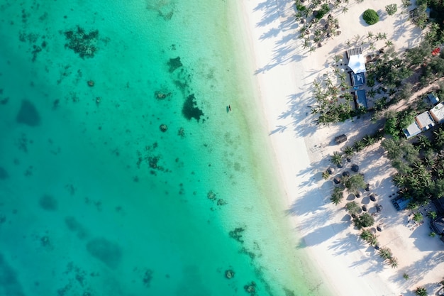 Mer tropicale. Vue imprenable sur les yeux des oiseaux à Zanzibar