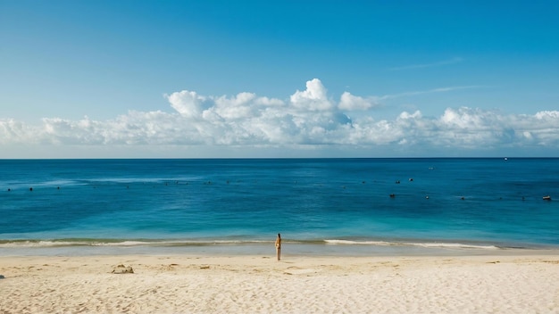 La mer vide et la plage en arrière-plan