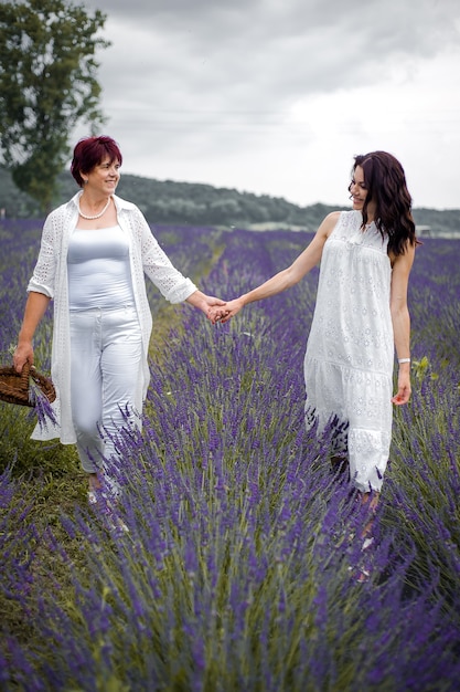 Mère aînée avec sa fille adulte marchant sur le champ de lavande