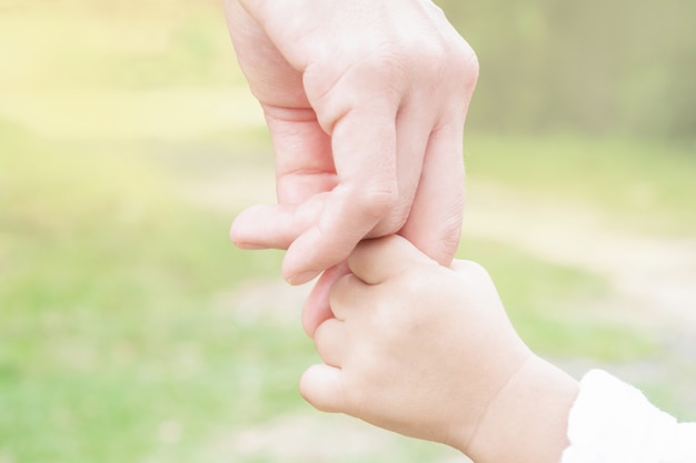 Mère, enfant, mains, matin, nature