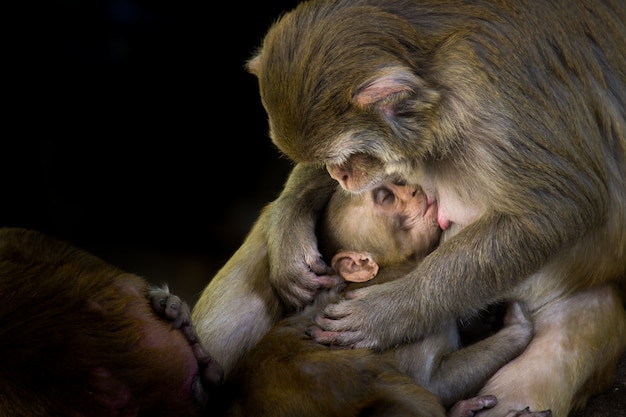 Mère et l&#39;enfant