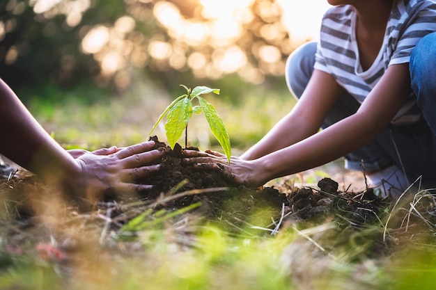 Photo mère avec enfants aidant à planter un arbre dans la nature pour sauver la terre. concept écologique de l'environnement