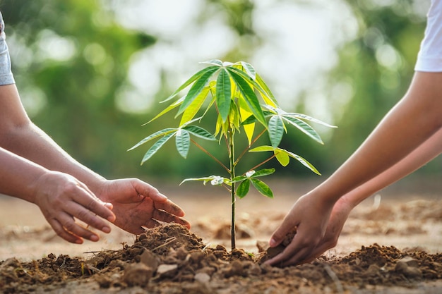 Mère avec enfants aidant à planter des arbres dans la nature pour sauver la terre. concept écologique de l'environnement