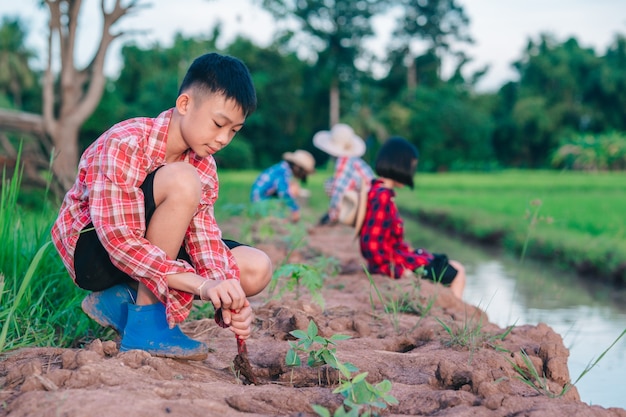 Mère et enfants plantant l'arbre sur la terre sur le champ de riz et le fond de ciel bleu