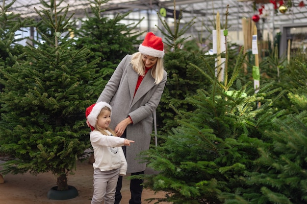 Mère et fille choisissent un arbre de Noël sur un marché.