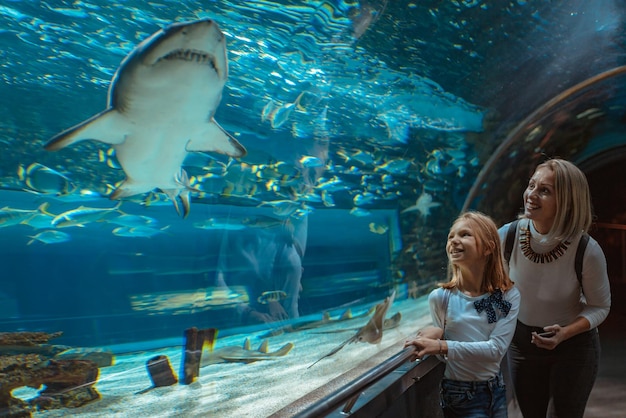 Mère et fille debout tendues contre le verre de l'aquarium regardant les poissons, fascinées par le requin.