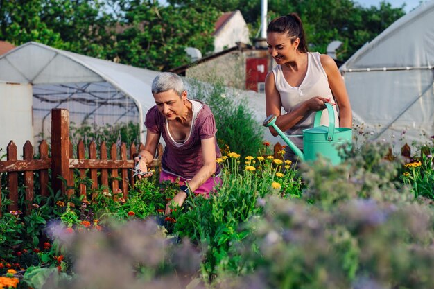 Mère et fille jardinant ensembleDécouverte et enseignement du jardinage