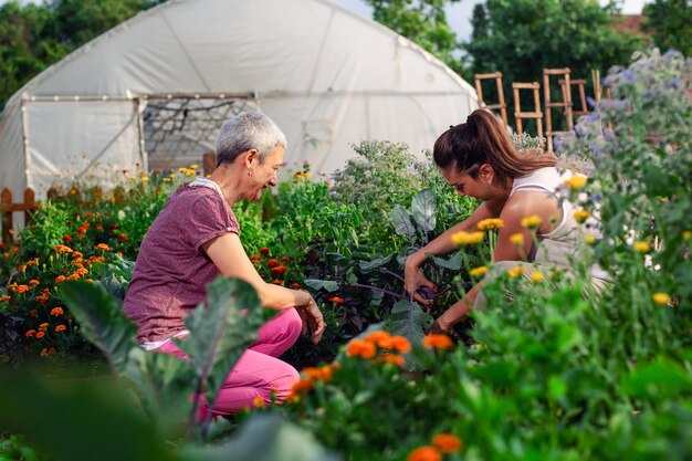 Photo mère et fille jardinant ensembledécouverte et enseignement du jardinage