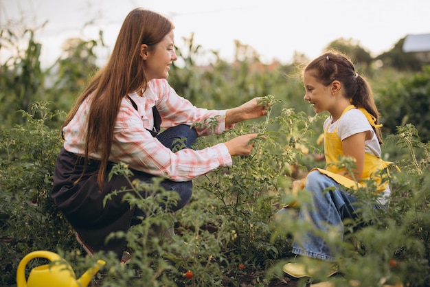 Mère et fille jardinent ensemble dans un jardin de légumes biologiques ensoleillés Apprendre et se lier en plein air