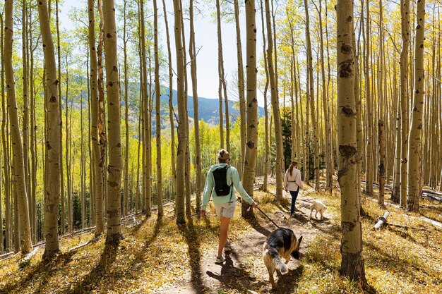 Mère et fille promènent leurs chiens sur le sentier de la nature des trembles d'automne