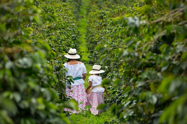 mère et fille ramassant des grains de café en Colombie