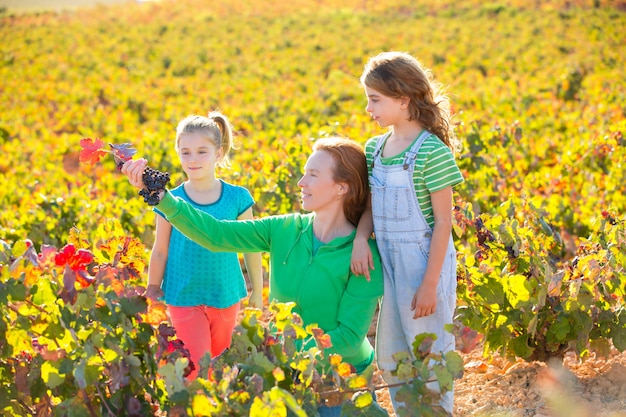 Mère, filles, sur, vignoble automne, tenue, raisin