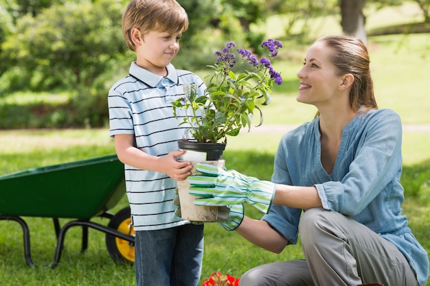 Photo mère et fils jardinage