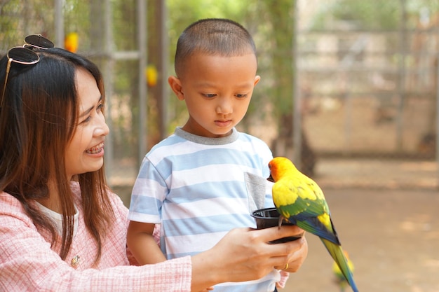 Mère et fils nourrissant des oiseaux en vacances