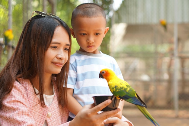 Mère et fils nourrissant des oiseaux en vacances