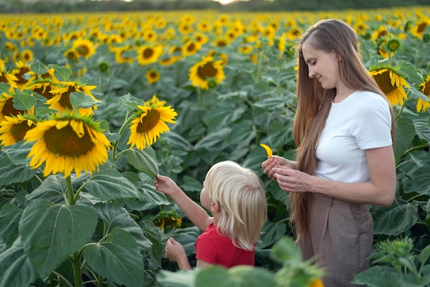 La mère et le fils regardent des tournesols en fleurs sur le terrain. Étude de la nature. L'été en dehors de la ville.