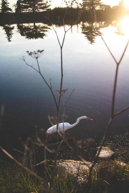 Photo mère nautre