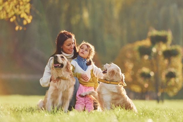 Une mère avec sa fille se promène avec deux chiens Golden Retriever dans le parc