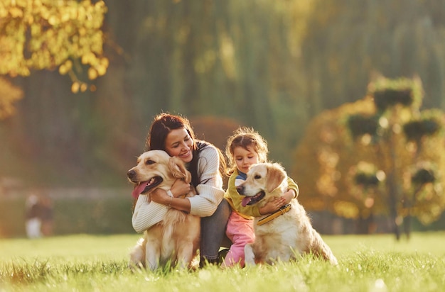 Une mère avec sa fille se promène avec deux chiens Golden Retriever dans le parc