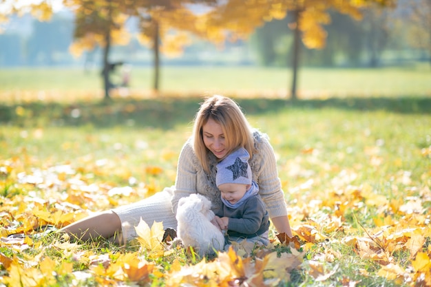 Mère et son bébé mignon dans le parc automne jouant avec petit chiot.