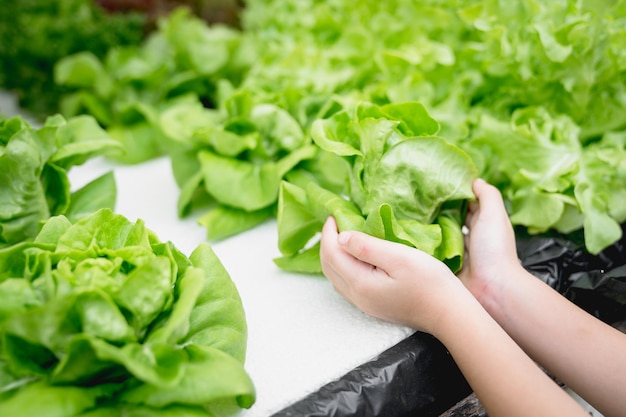 Photo mère et son enfant tenant des légumes dans une ferme verticale hydroponique avec une agriculture de haute technologie ag